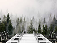 Фото обои для декорирования дома, флизелиновые фотообои "Туманний лес"