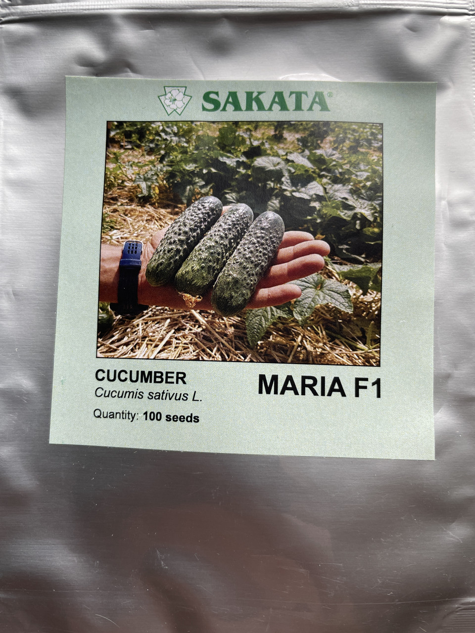 Насіння огірка Марія F1  100 насінин, фото 1