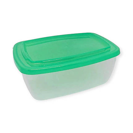 Судок харчовий Ідея 900 мл 17х12.5х7 см, фото 1