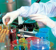 Праймери, промотори адгезії