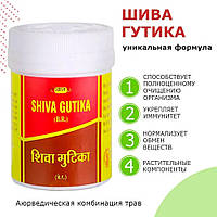 Препарат для комплексного очищення й омолодження організму. Шива Гутіка, Вьяс 100 таб., Shiva gutika VYAS