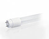 Лампа світлодіодна LED-T8-1200-4000-G13 Eco, фото 2