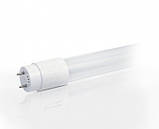 Лампа світлодіодна LED-T8-1200-6400-G13 Eco, фото 2