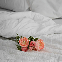 Наматрацники VIVA