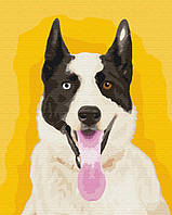 Картина по номерам "Яркая собака" 40x50 3v1 Рисование Живопись Раскраски (Животные, птицы и рыбы)