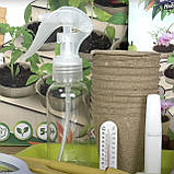 Набір юного садівника Ботанічні експерименти маленький сад насіння інструменти Fun Game уп 34*9*25см (26072), фото 7
