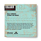 Струни для електрогітари DUNLOP RWN0840 STRING LAB SERIES BILLY GIBBONS GUITAR STRING (08-40), фото 3