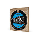 Струни для класичної гітари D`ADDARIO EJ48 PRO-ARTE 80/20 BRONZE WOUND HARD TENSION, фото 4