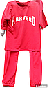 Модний спортивний жіночий костюм футболка + штани (42, 44,46,48,50,52,54 р), доставка по Україні, фото 5
