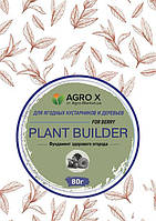 Минеральное удобрение PLANT BUILDER "Для ягодных кустарников и деревьев" (Плант билдер) ТМ "AGRO-X" 80г