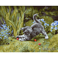 Картина по номерам "Игривый котенок" Идейка KHO4251 40х50 см dl