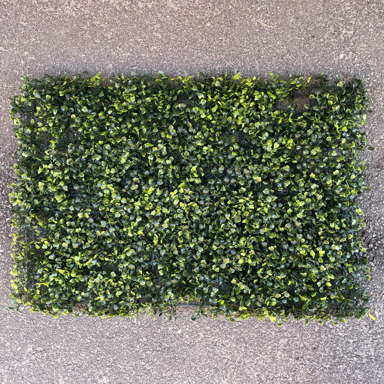 Газон-килимок самшит штучний, 40 × 60 см,