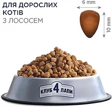 Сухий корм для котів CLUB 4 PAWS Premium в з лососем 300 г, фото 4