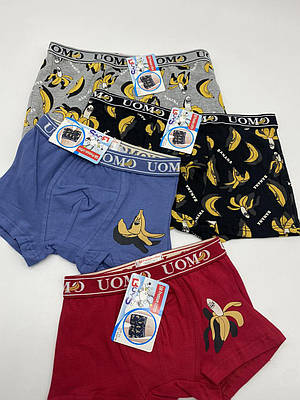 Дитячі боксери для хлопчиків Ghlain Klain GT90188