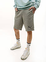 Чоловічі Шорти Puma ESS Shorts Сірий M (7d58670953 M)