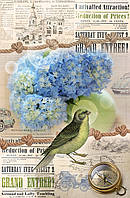 Пакет для подарунка великий вертикальний "Гортензія" 25х37 см