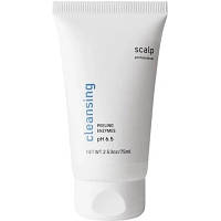 Скраб для кожи головы Scalp Cleansing Peeling Enzymes С энзимами 75 мл (4820266831004) ha