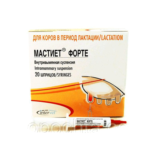 Мастіет форте (Mastijet® Forte) 1 шприц-тюбік (8 г) — для лікування маститу в корів у період лактації (Інтервет)