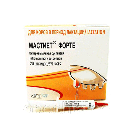 Мастіет форте (Mastijet® Forte) 1 шприц-тюбік (8 г) — для лікування маститу в корів у період лактації (Інтервет)   