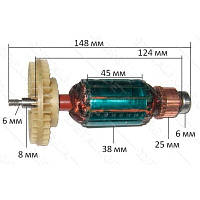 Якорь ленточная Интерскол 76/900 ( 148*38 посадка 6мм)