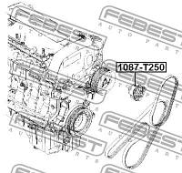 Ролик натяжителя CHEVROLET AVEO / KALOS (T250, T255) 2005- г.