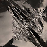 Липка пастка для мишей набір 5 шт., фото 6