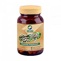 Гилой (90 кап, 400 мг), Giloy Capsules, Organic Wellness Под заказ из Индии 45 дней. Бесплатная доставка.