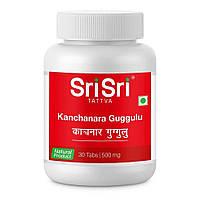 Канчанар Гуггул (30 таб, 500 мг), Kanchanara Guggulu, Sri Sri Tattva Под заказ из Индии 45 дней. Бесплатная