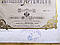 Старовинні ноти для фортепіано. Кадриль із випередити Міллекера "Гаспароне". Видання Гутхейль, фото 3