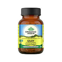 Гилой (60 кап, 325 мг), Giloy, Organic India Под заказ из Индии 45 дней. Бесплатная доставка.