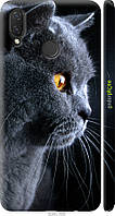 Пластиковый чехол Endorphone Huawei Nova 3i Красивый кот (3038m-1541-26985) EM, код: 7501193