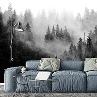 Флизелиновые фотообои природа 368 x 254 см Пейзаж - Черно-белый лес в тумане (13564V8) Клей в подарок