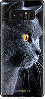 Силиконовый чехол Endorphone Samsung Galaxy Note 8 Красивый кот (3038u-1020-26985) EM, код: 7500813