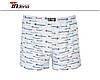 Чоловічі шорти (сімейні труси) INDENA Арт.5522, фото 6