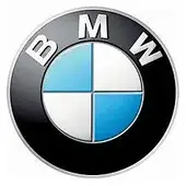 BMW 12,3"