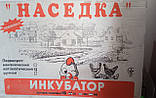 Інкубатор Насідка ІБА-70 автоматичний переворот, фото 8