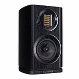 Wharfedale EVO 4.1 Black, фото 6