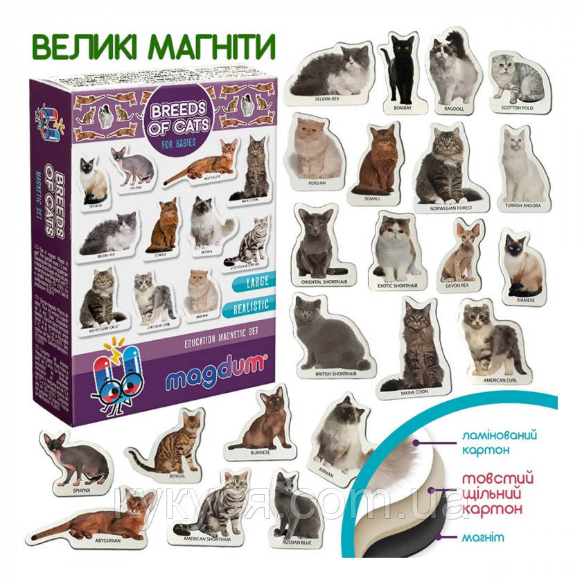 Магніти породи кішок Magdum, фото 1