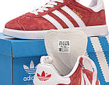 Жіночі кросівки Adidas Gazelle Red B41645, червоні замшеві кросівки адідас газелі газель, фото 9