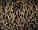 Пальтова італійська вовняна з вовною альпаки та поліамідом тканина з різнокольоровим принтом MI 200, фото 4