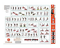 Постер с упражнениями Sveltus Elastiband А1 Разноцветный (SLTS-0178) CS, код: 8069277