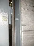 Вхідні двері Redfort Стандарт Плюс Акустика венге сірий горизонт, фото 7