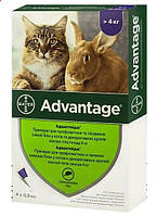 Капли Bayer Адвантейдж 80 для кошек и декоративных кроликов массой 4 - 8 кг 4х0,8 мл 85744984 IB, код: 7846169