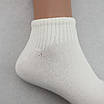 Набір шкарпеток 12 пар жіночих базових кольорів бавовна преміум сегмент розмір 35-38, фото 7