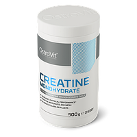 Креатин Creatine Monohydrate OstroVit 500 г Вишня, фото 2