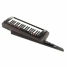 Синтезатор Korg RK-100S 2 Black, фото 4