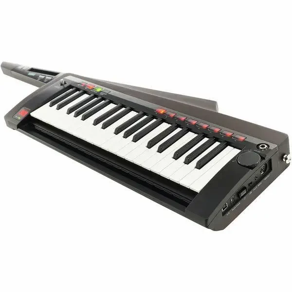 Синтезатор Korg RK-100S 2 Black