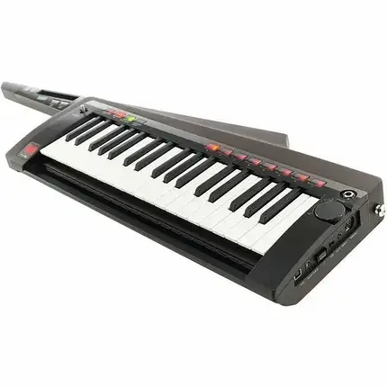 Синтезатор Korg RK-100S 2 Black, фото 1