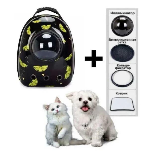 CosmoPet: космічний рюкзак-переноска для перенесення хатніх тварин з ілюмінатором