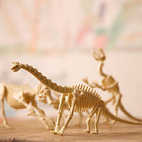 Набор для раскопок 4M Скелет тиранозавра